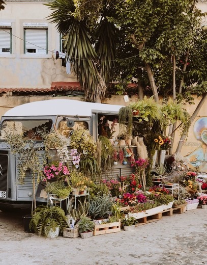 Pequeno Jardim - Flower Truck