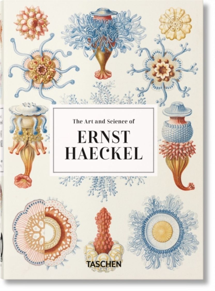 Book The Art and Science of Ernst Haeckel. 40th

