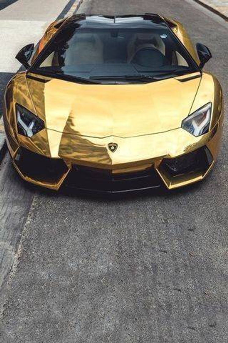 Fashion Lamborghini