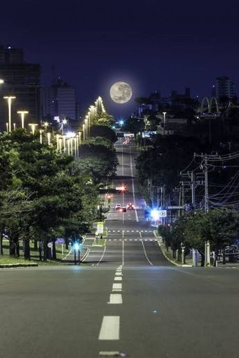 Avenida Afonso Pena