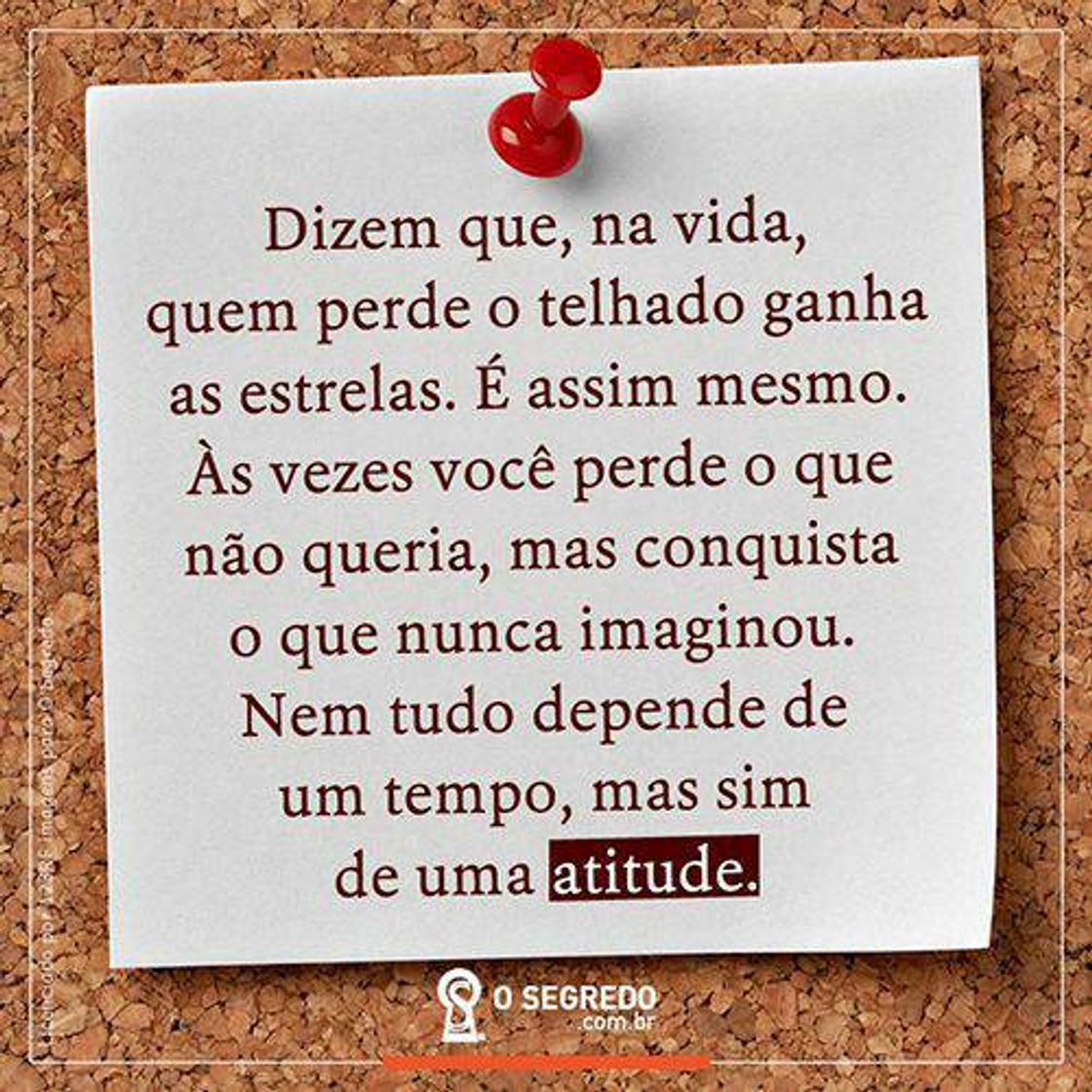 Moda Plante o bem, e colherás o bem.