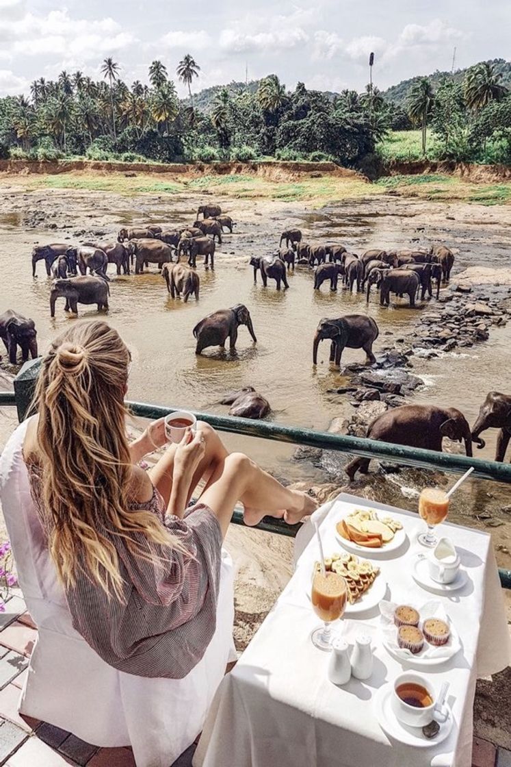 Lugar Sri Lanka 