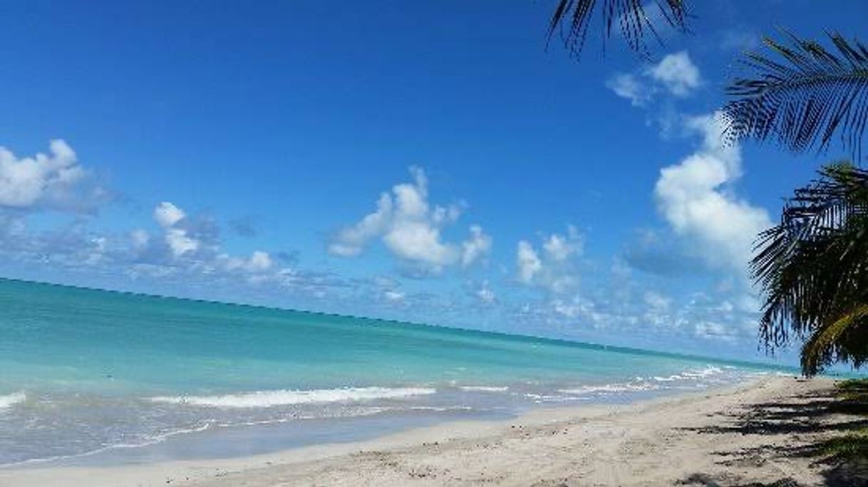 Lugar Praia da Bruna ( localização )