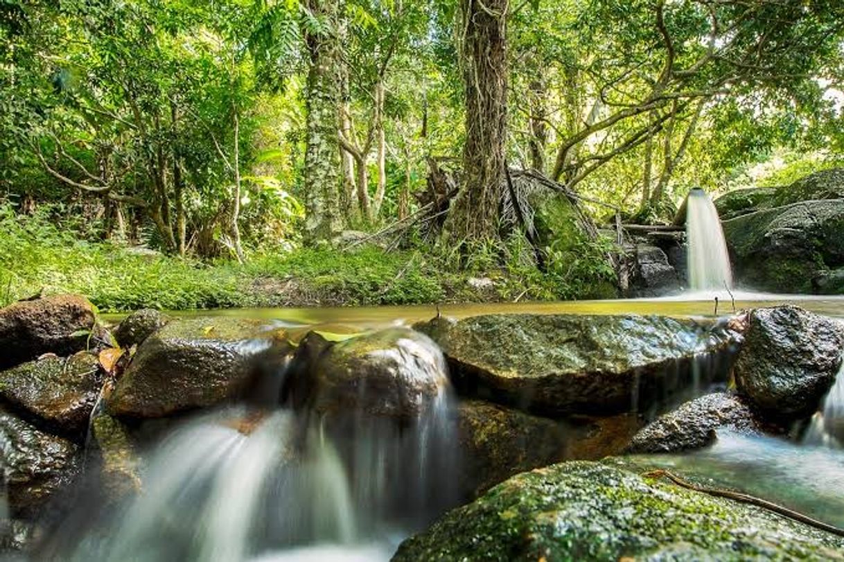 Lugares Trilha do Visgueiro