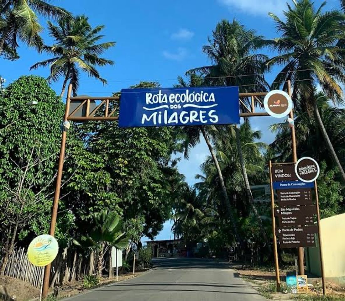 Lugar São Miguel dos Milagres - Rota Ecológica dos Milagres