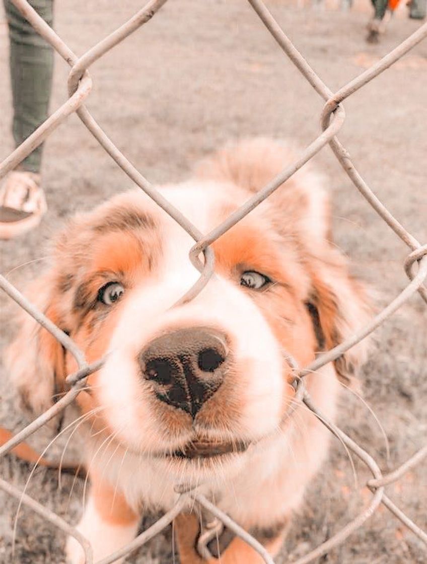 Social Papel de parede 💖💖