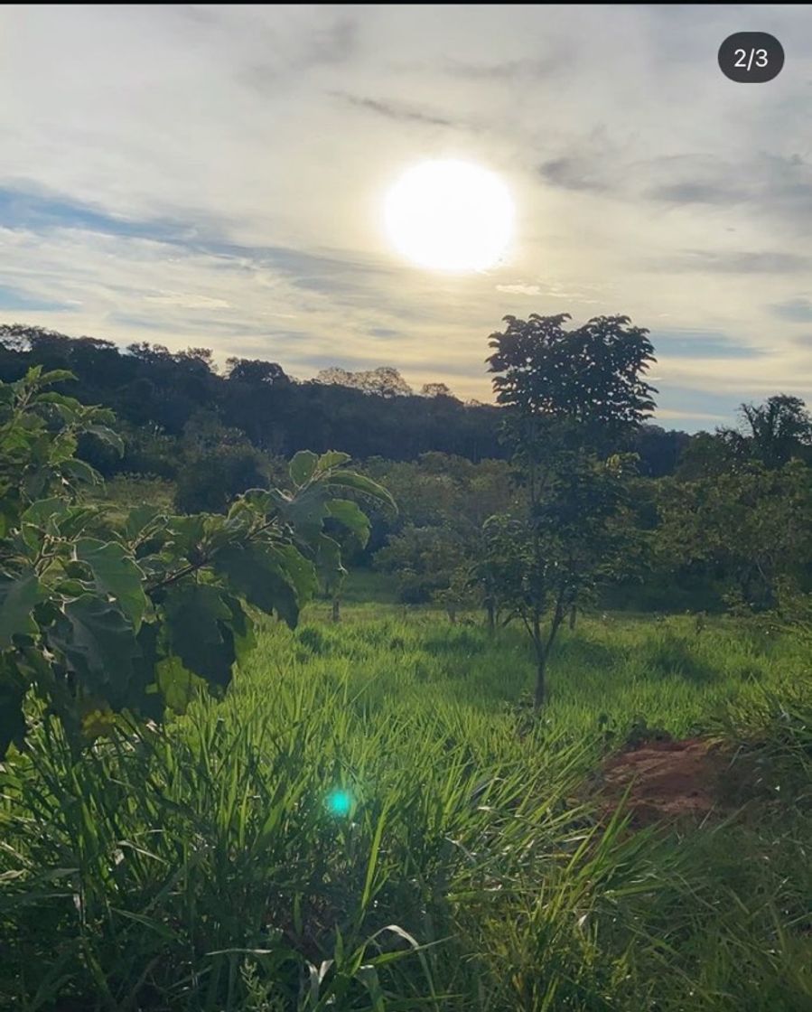 Lugar Porto Velho