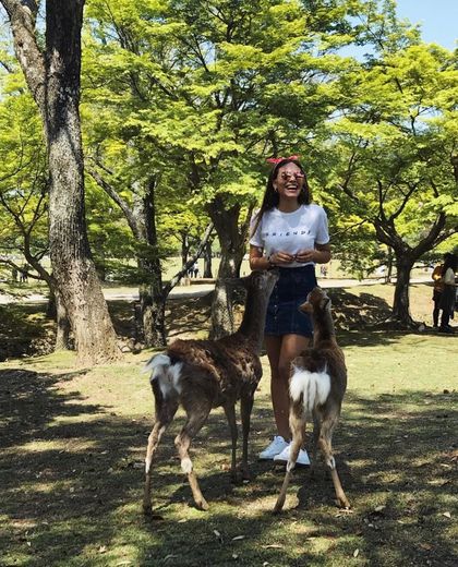 Nara Park