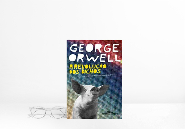 Libro Telenovela brasileña