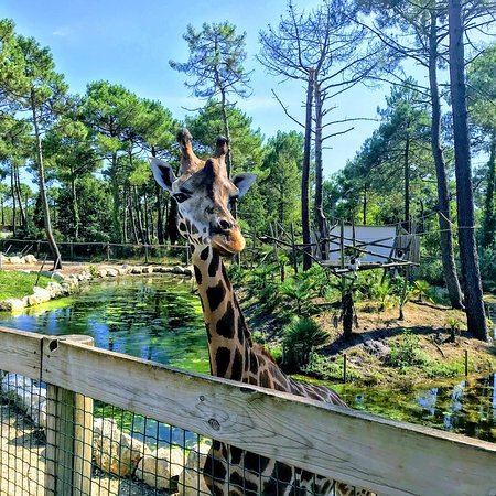 Places Zoo Arcachon Basin