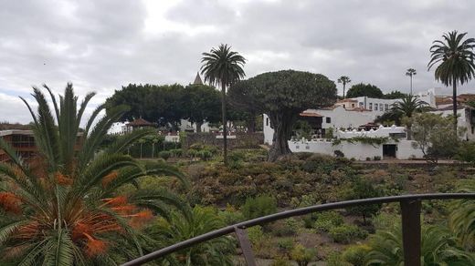 Parque del Drago