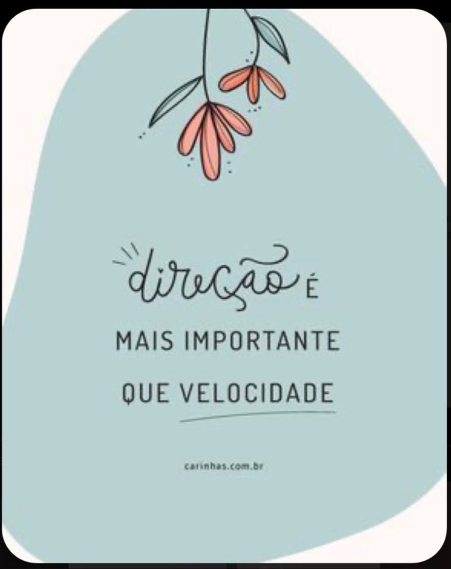 Fashion Frases