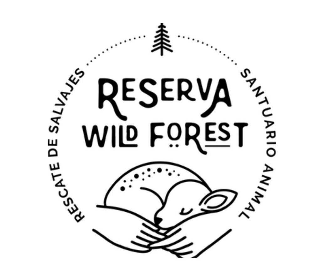 Lugar Reserva Wild Forest 