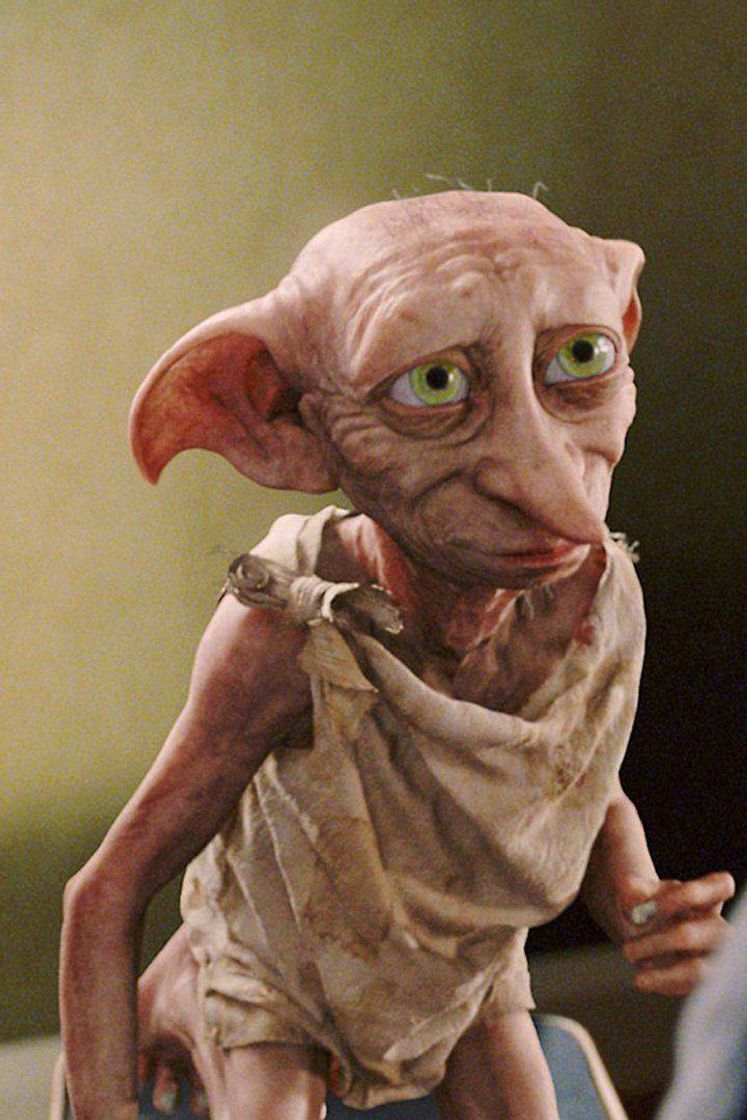 Producto Dobby