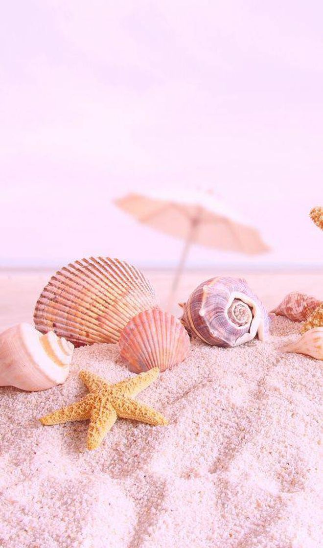 Moda Wallpaper conchinha do mar rosa🐚