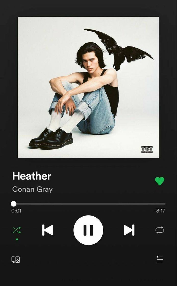 Fashion Conan Gray - Heather 