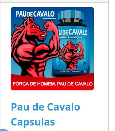 http://paudecavalo.com.br/