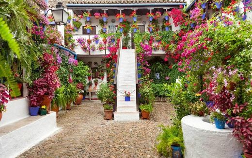 Patios de Córdoba Experience