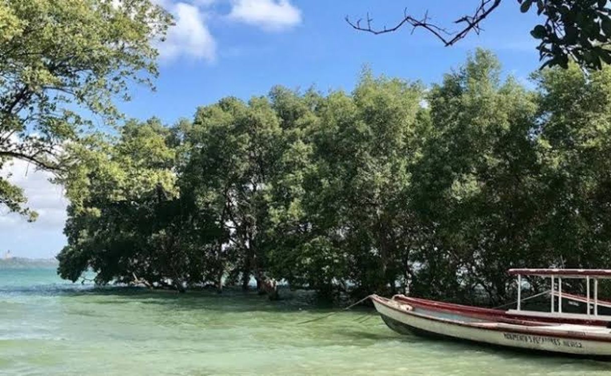 Lugar Neves (Ilha de Maré)