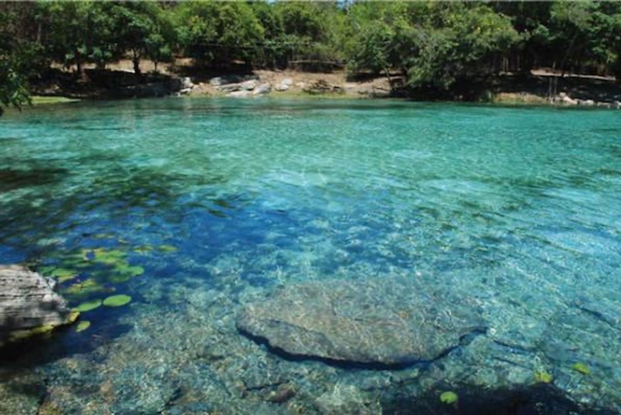 Lugar Fazenda pratinha 