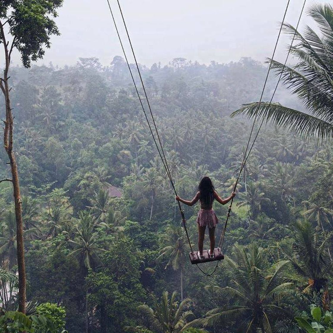 Lugares Ubud Swing