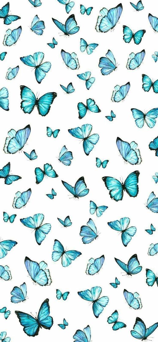 Fashion Wallpaper de borboletas 🦋