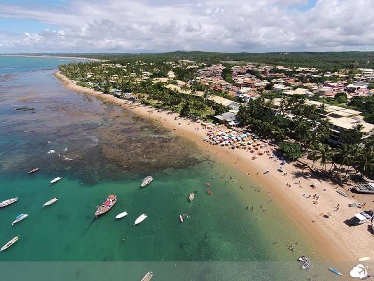 Lugar Praia do Forte