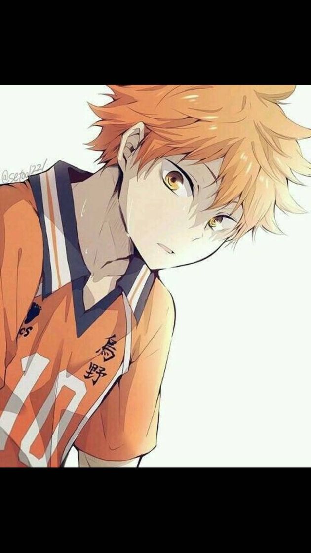 Serie Anime: Haikyuu