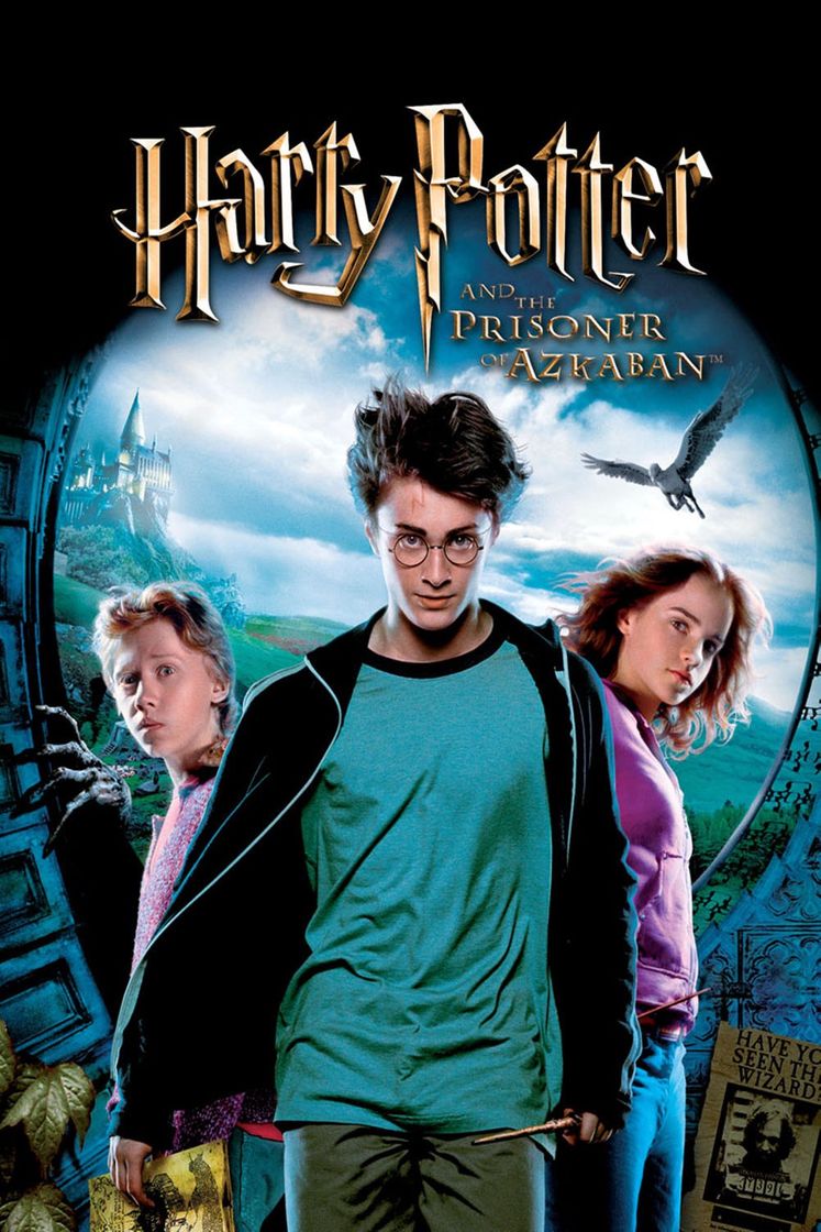 Película The Harry Potter Saga Analyzed