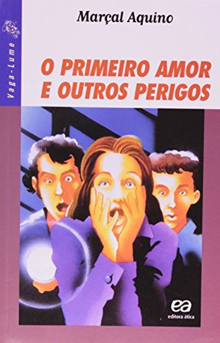 Book O Primeiro Amor e Outros Perigos