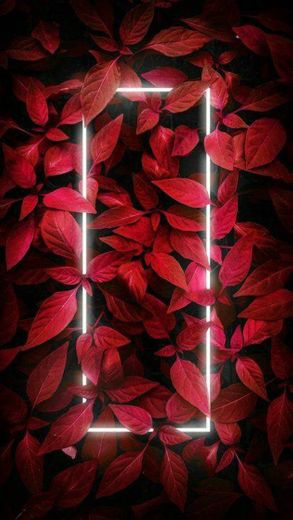 Wallpaper folhas vermelhas