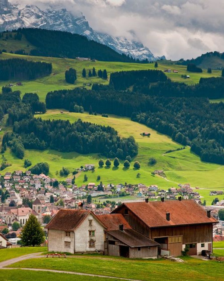 Social Suiça🇨🇭