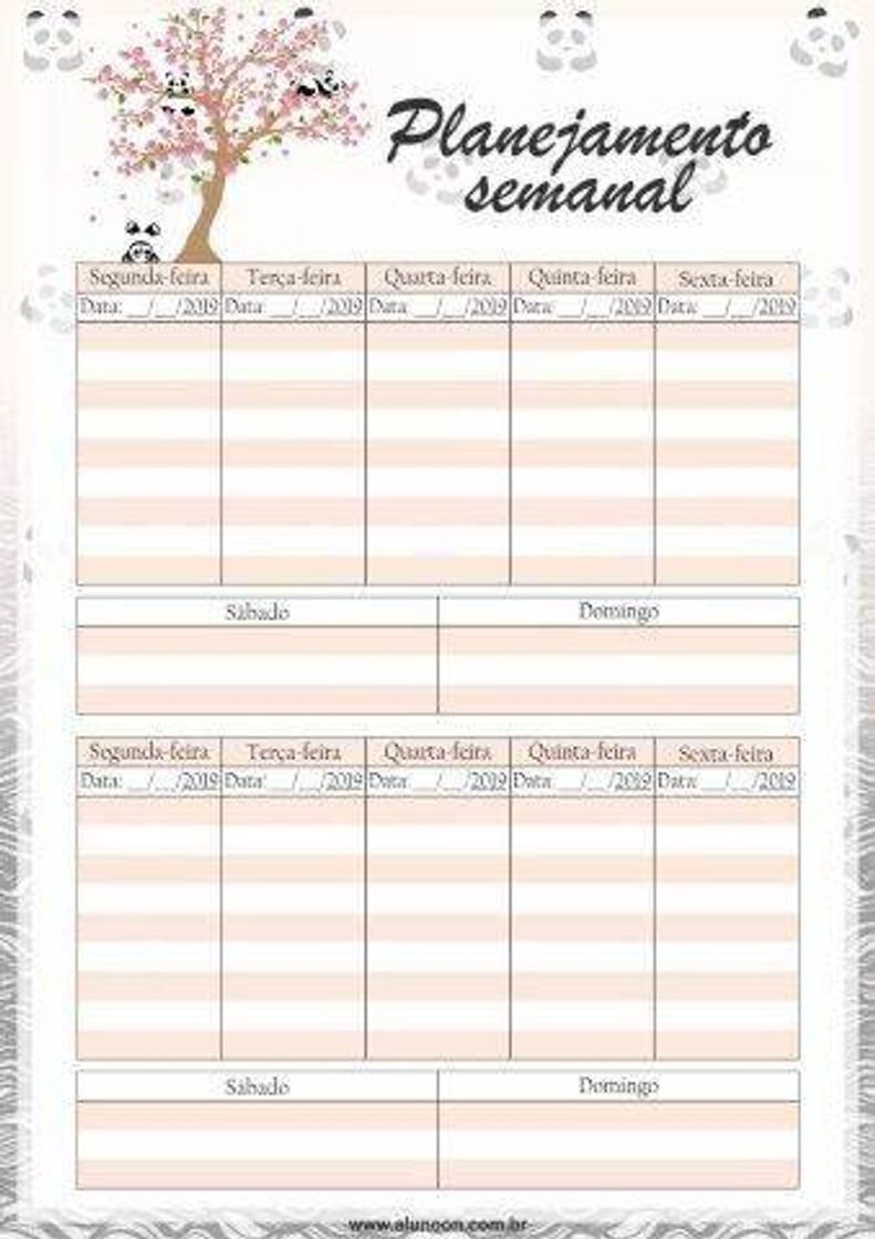 Moda ✨PLANNER SEMANAL✨