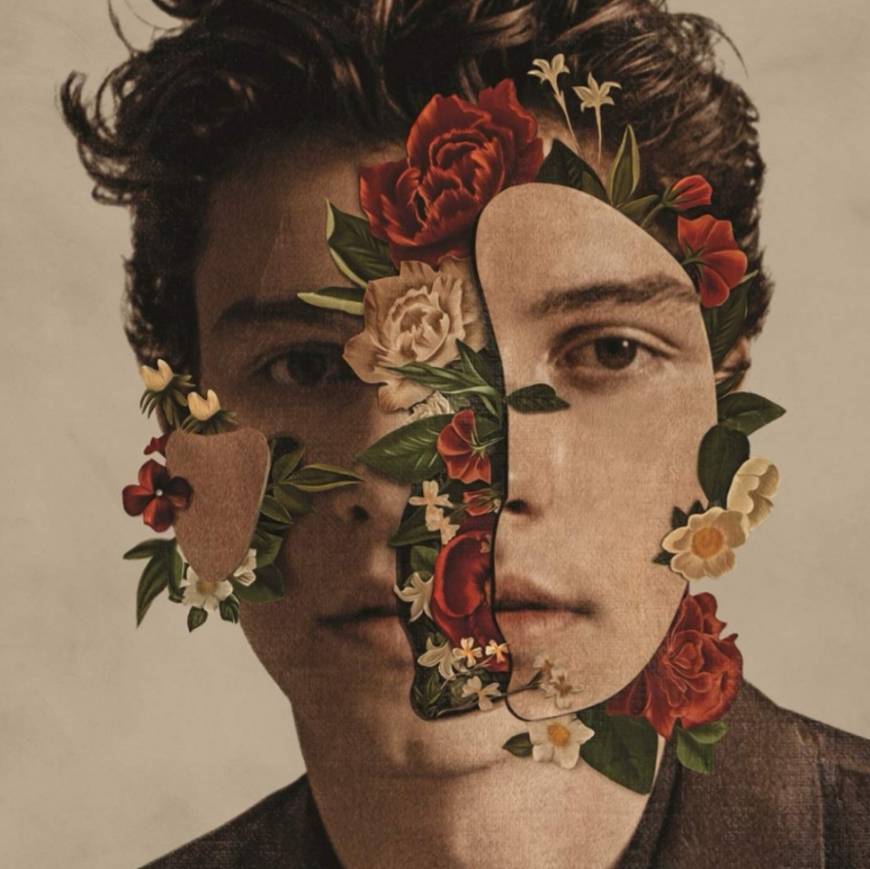 Canciones Shawn Mendes (Deluxe)