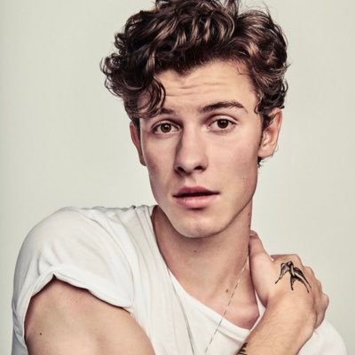 Canción Shawn Mendes