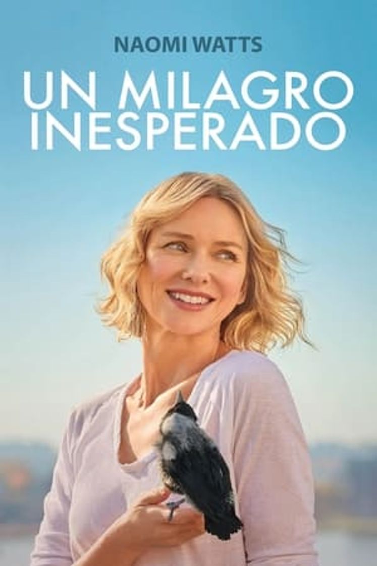 Película La familia Bloom