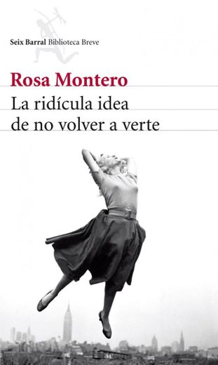 La ridícula idea de no volver a verte - Rosa Montero