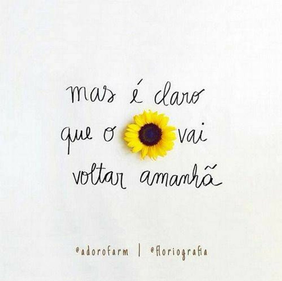 Moda Frases 🌻