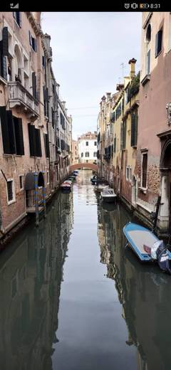 Venecia