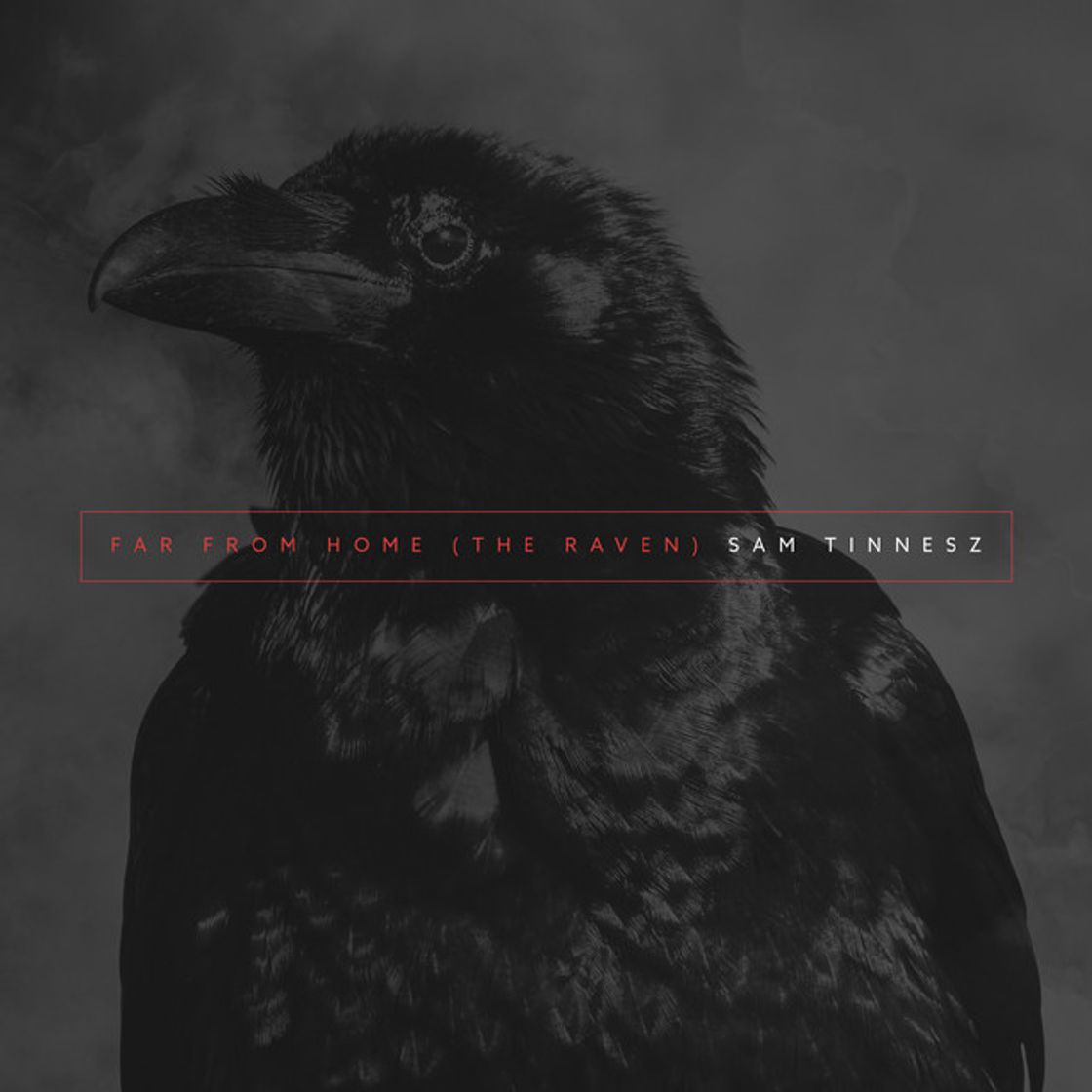 Music Far From Home (The Raven)