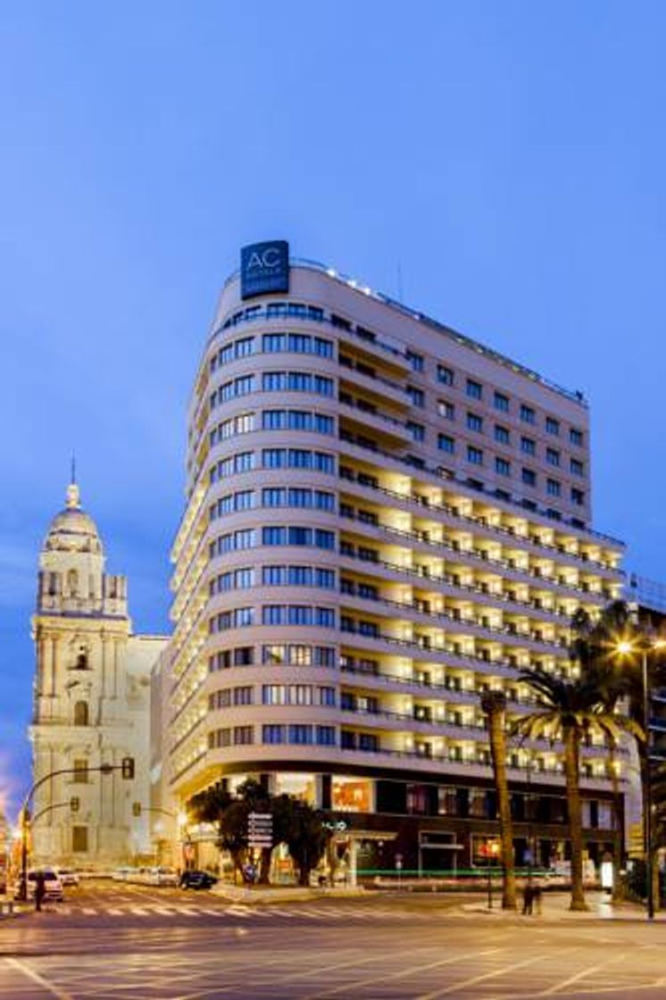 Place Hotel Málaga Palacio