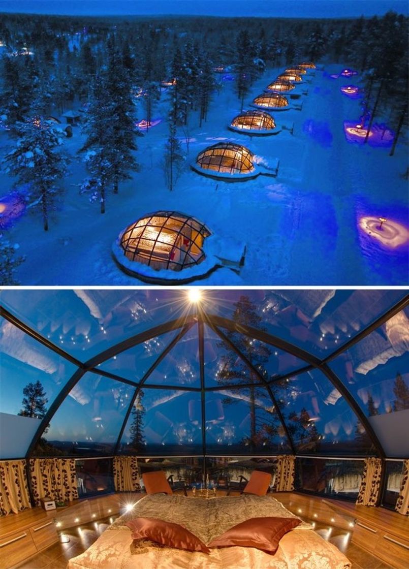 Place Glass Igloo🦋