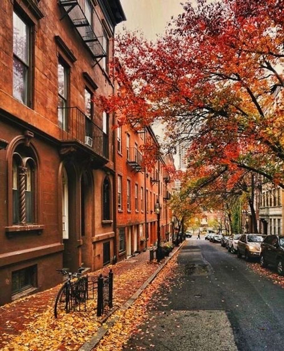 Lugar Autumn in Boston🦋