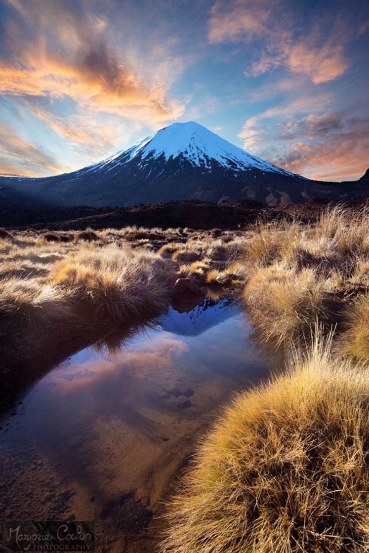 Lugar Tōngariro National Park Visitor Centre