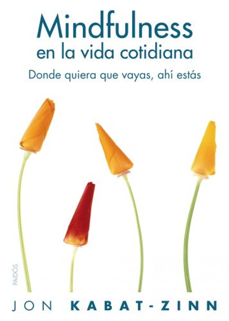 Book Mindfulness en la vida cotidiana: Donde quiera que vayas, ahí estás