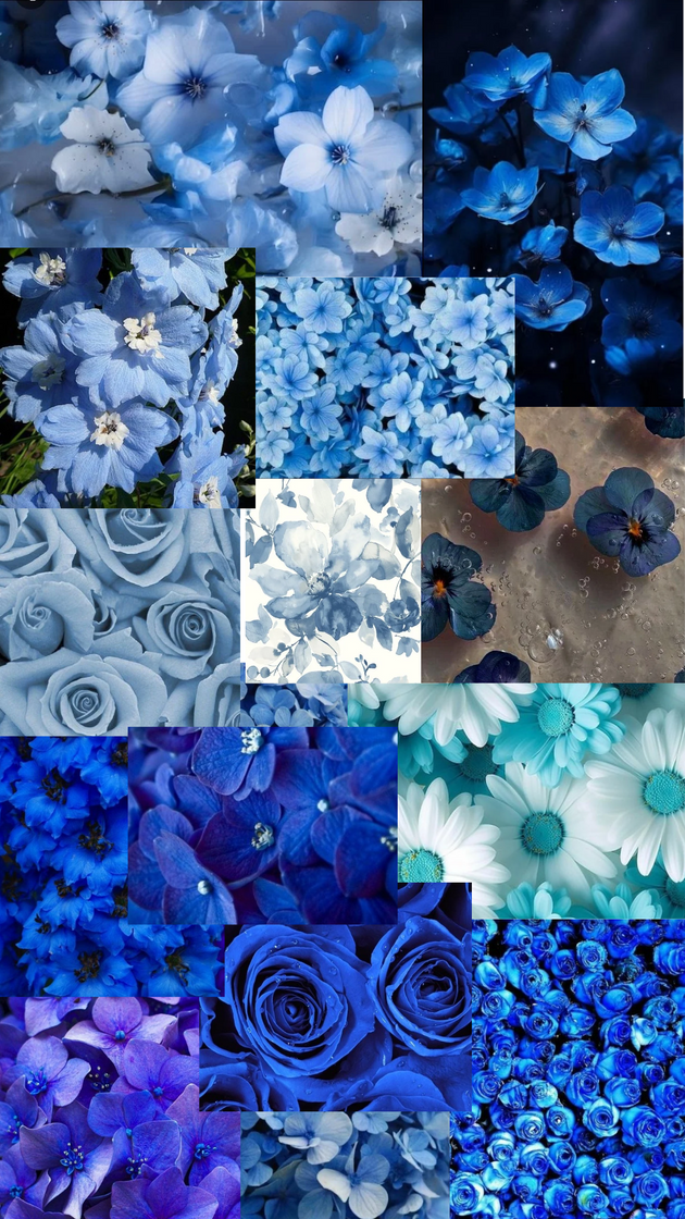 Social Wallpaper