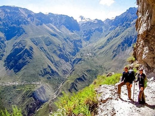 Cañón del Colca