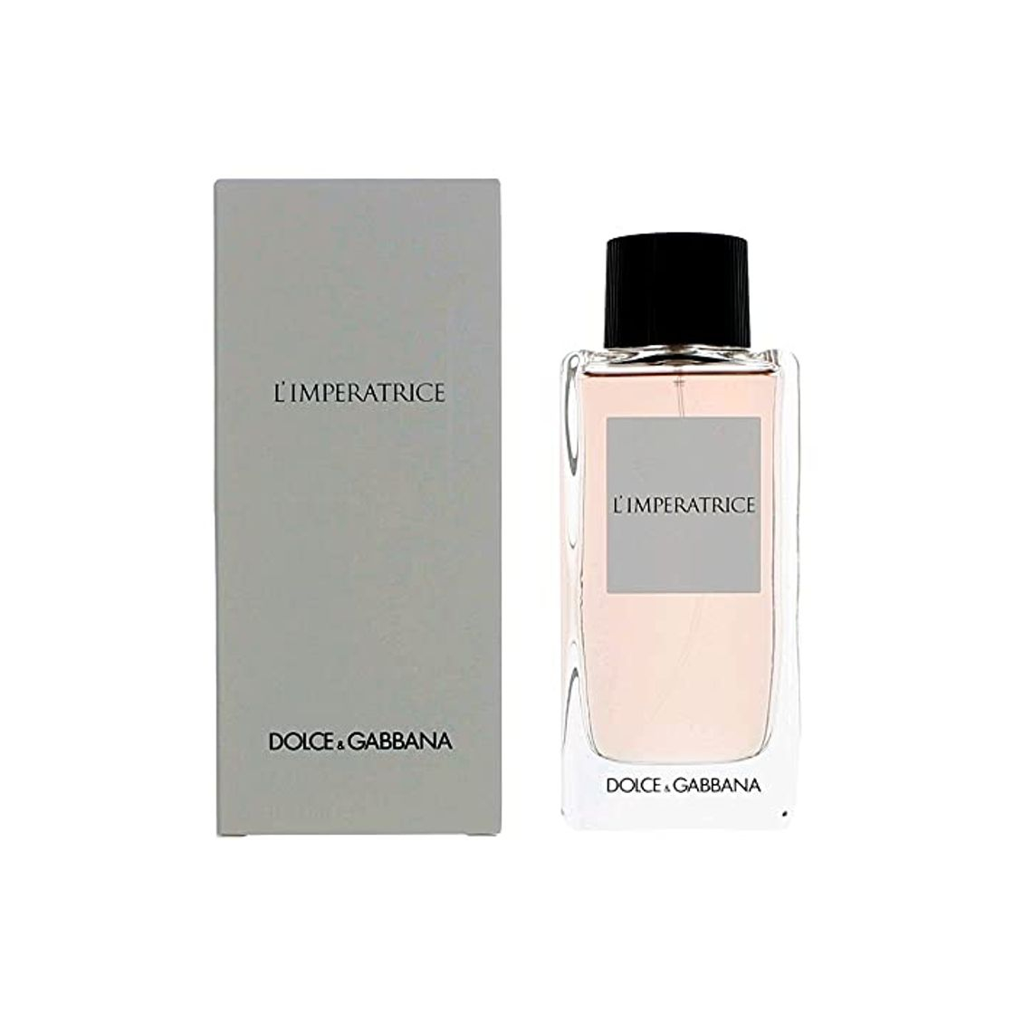 Social DOLCE & GABBANA 3