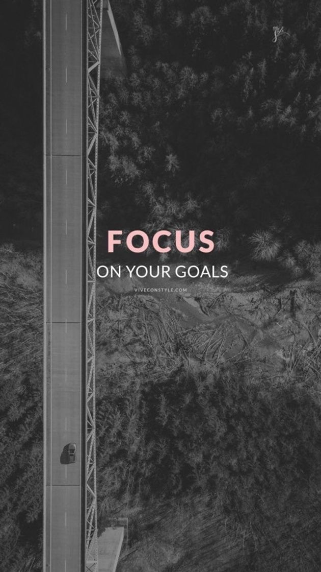 Social Focus ✨