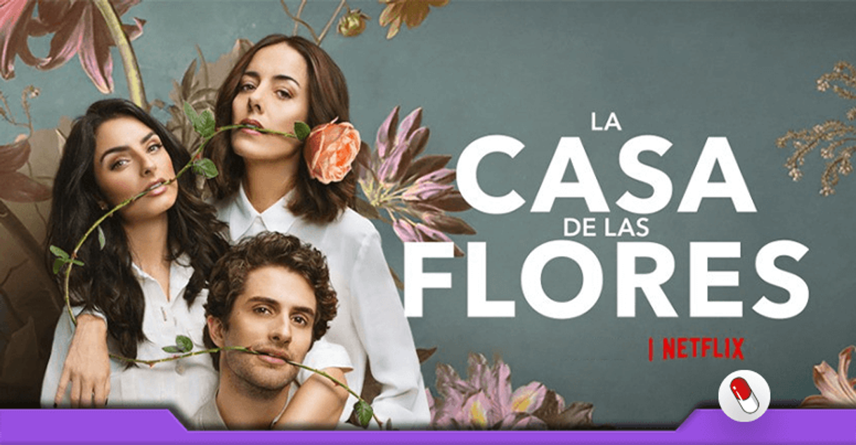 Serie La casa de las flores